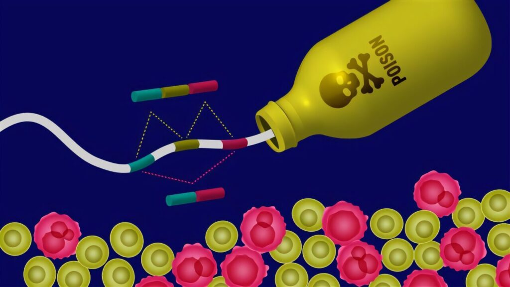 Un'illustrazione grafica di un esone di veleno rimosso dal pre-mRNA. L'esclusione di un esone di veleno consente ai tumori di crescere. Credito: The Jackson Laboratory