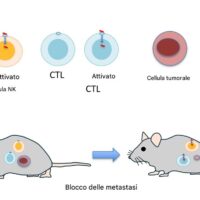 Terapia mRNA sintetica: studio introduce arma contro cancro metastatico senza effetti collaterali dannosi